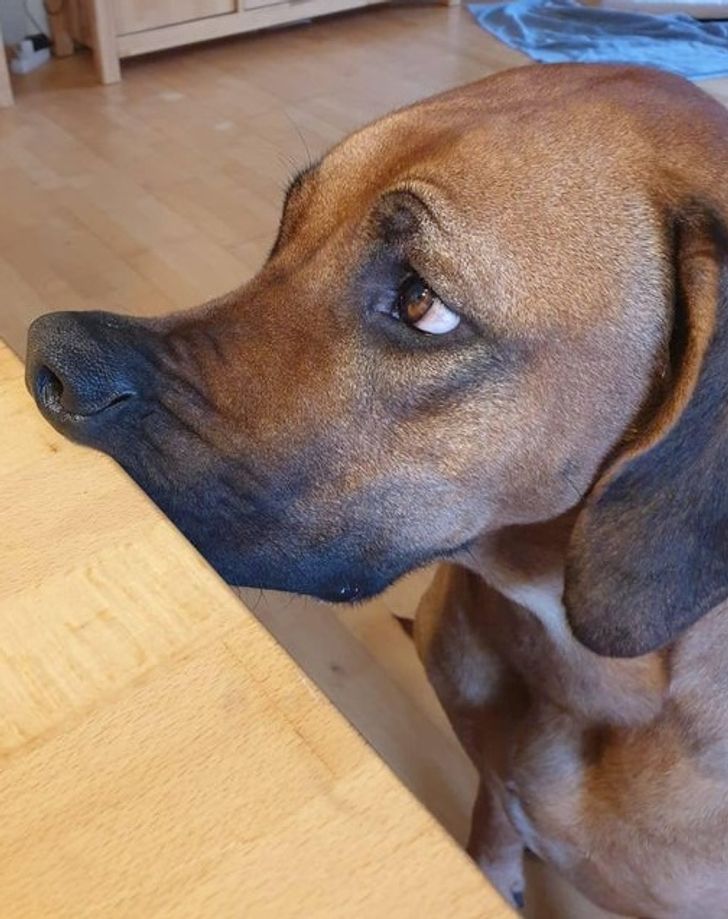 c4f8cb5b6981f40f7d9a8c5ad0