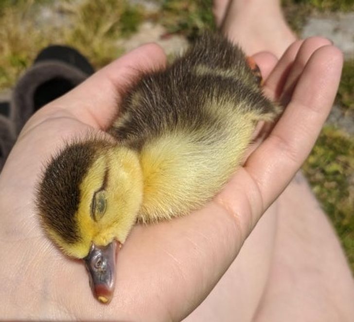 c4fb99585a873ea0d05f2af698