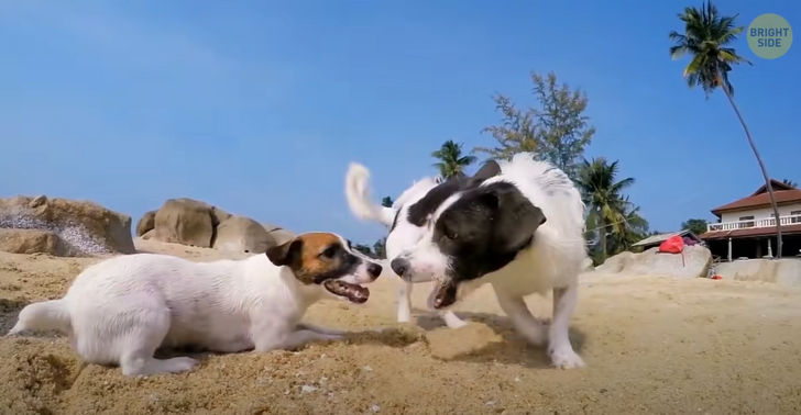 c501d855abb72712a173b38076