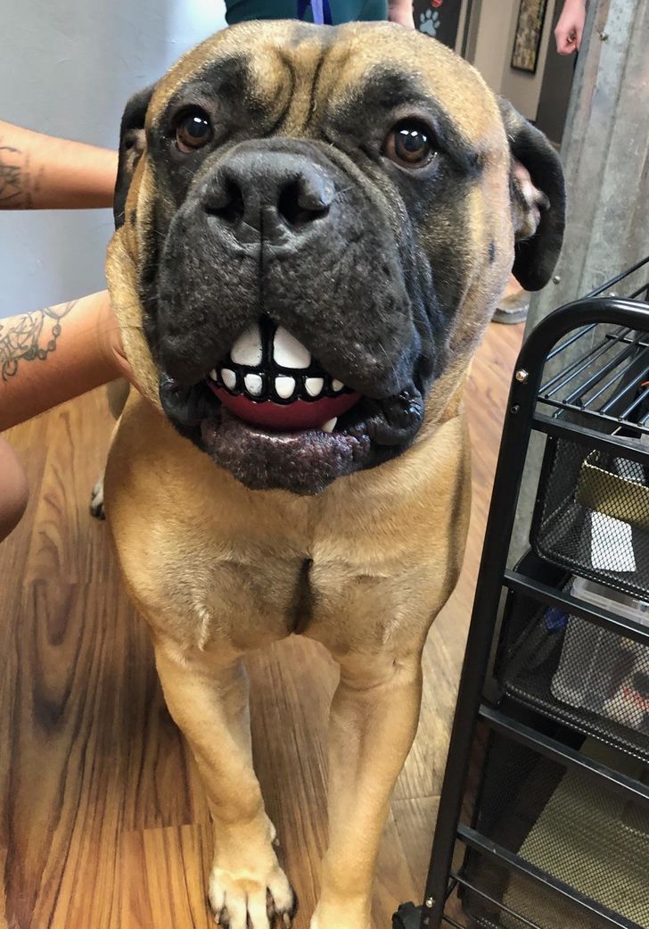 c504bd5c15bd5a875f6474e6fb c504bd5c15bd5a875f6474e6fb