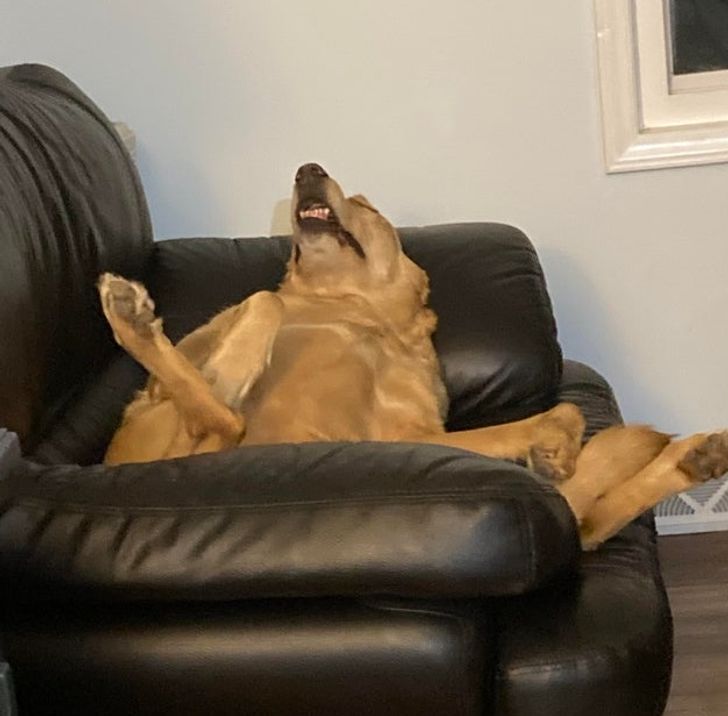 c50ad3526d95e9448c5da6190a