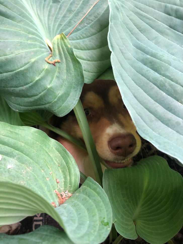 c50bb95cb2a18416b3e16dc394