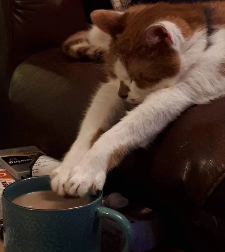 c511725d1fb086ae2809c6294e