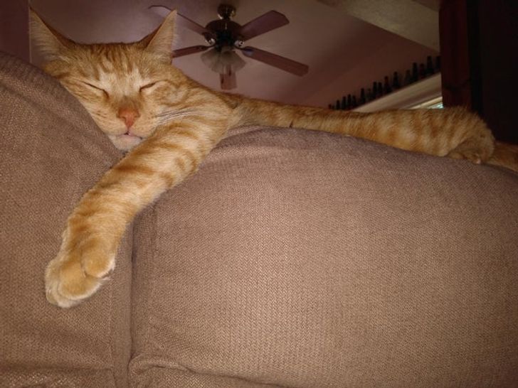 c5129e5b5d8073ed426c49b81a