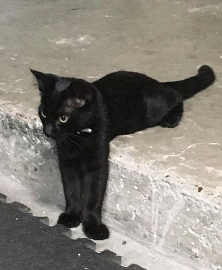 c513d85acba8914cbdb839d531