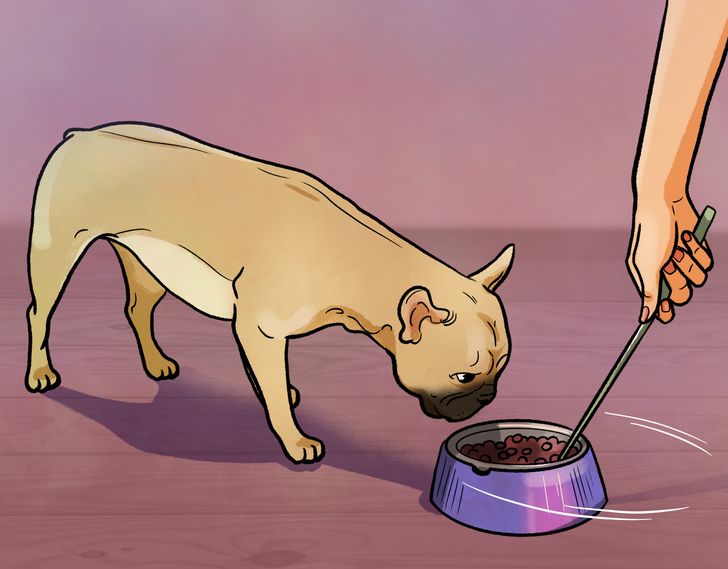 c51d3d54029a3b9b5fc200c776