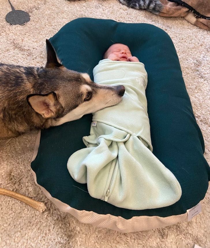 c52093509ab62885a8eff69863