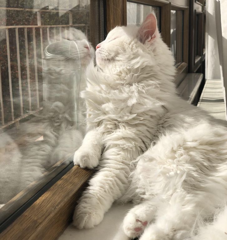 c521355678ac82d9fa195842f0