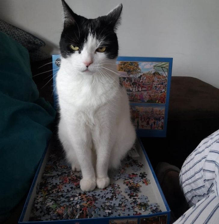 c522cc577690df009a16f48fd2