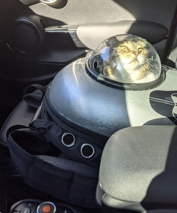 c526c151d991bfe27db656004f