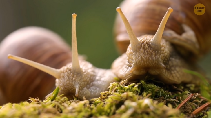 c52a6856a3a0ac3e6cc364ae09 c52a6856a3a0ac3e6cc364ae09