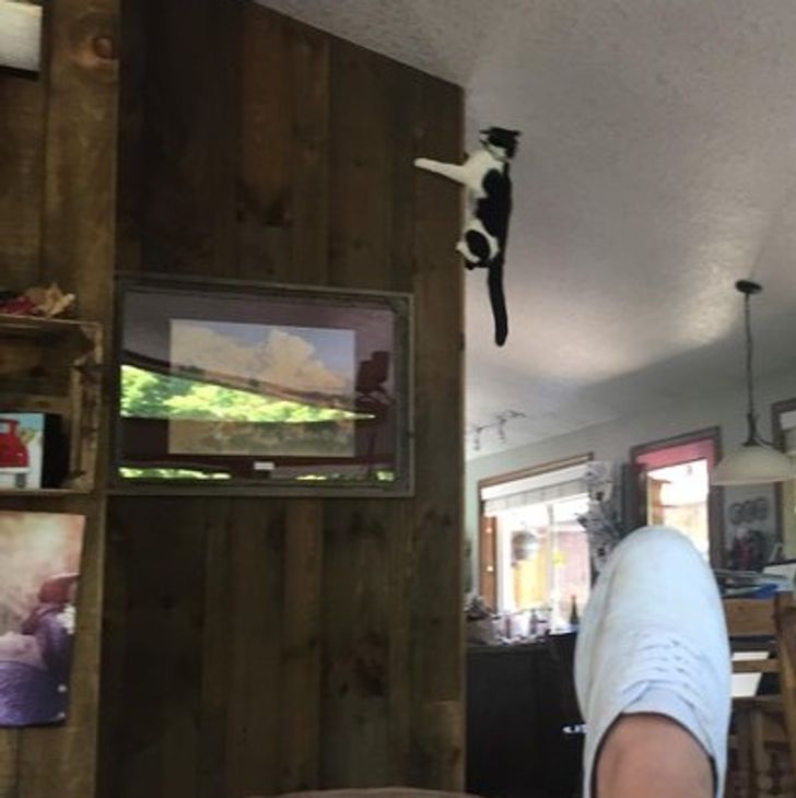 c52d205178a690c3613b2d4004