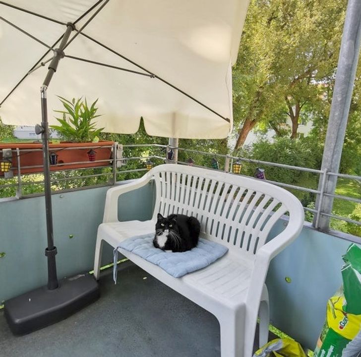 c52db756429525b22a1021f2a6