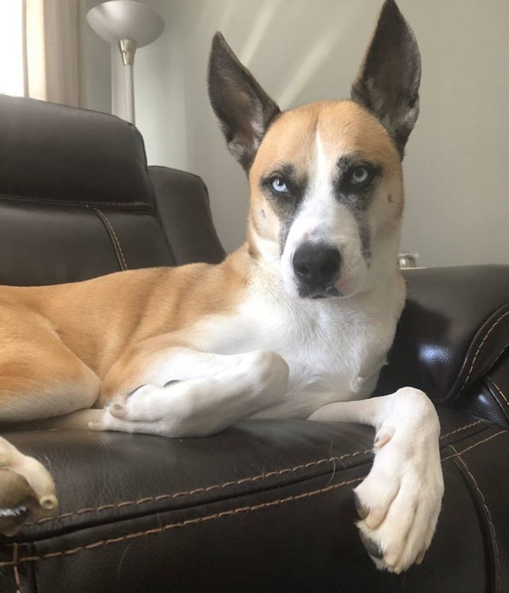 c532ba54d9bbcfdc54ab9a8ae0 c532ba54d9bbcfdc54ab9a8ae0