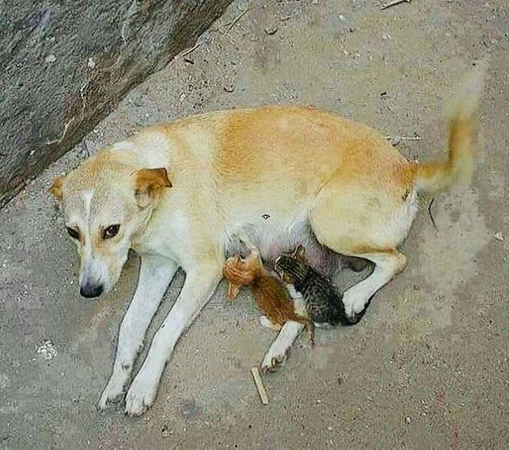 c5387b5b65a33f9baf78047c1e