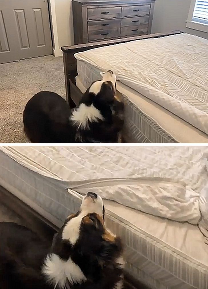 c5396853a2a3f385a366ee6f74