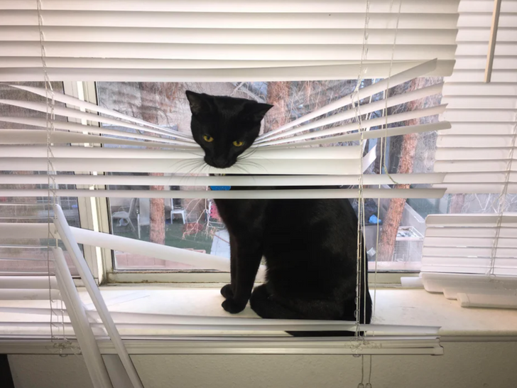 c540a55da1bae8113c4de4d20f