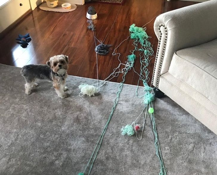 c5495c595399dc05e7374652b8