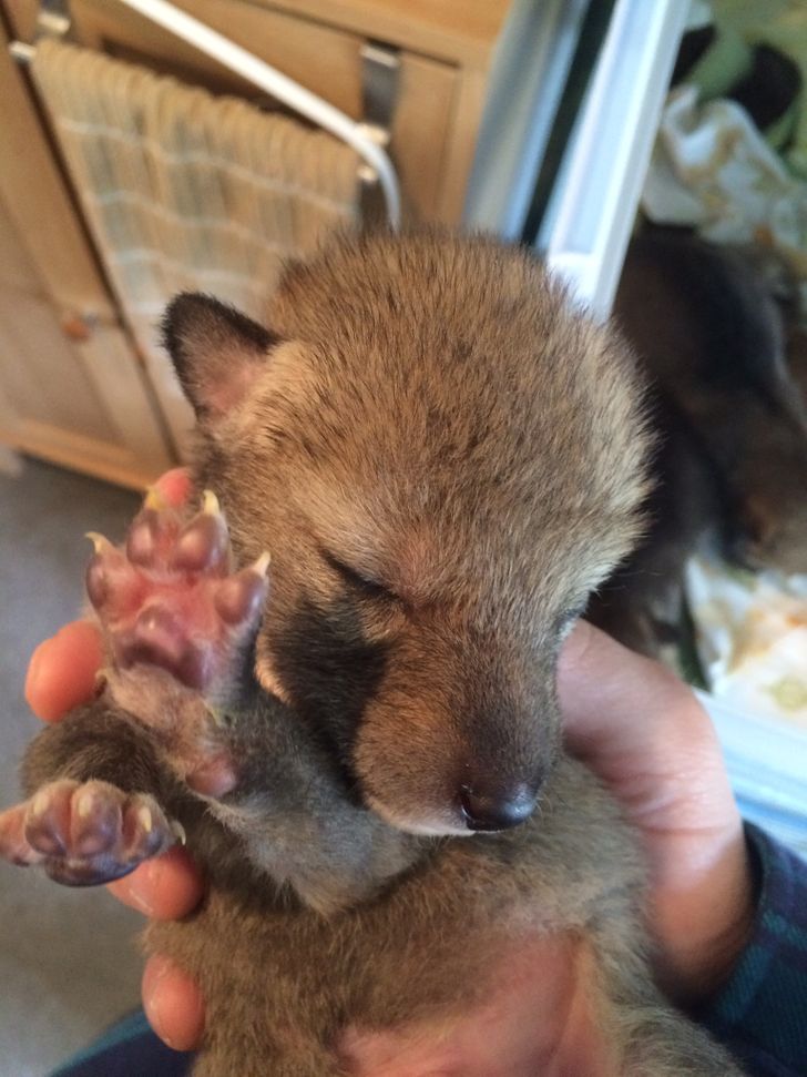 c549a151f683678d79beffa8a6