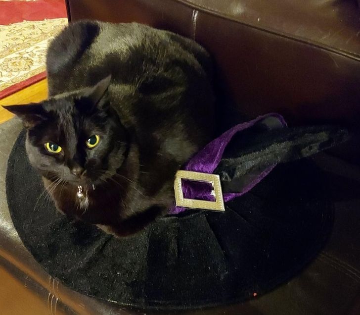 c54b355780b9f77925ffd9d29a