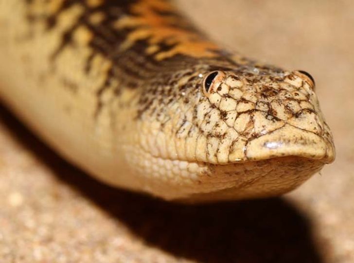 c54cf85867ae2d5c9a1f514e8f