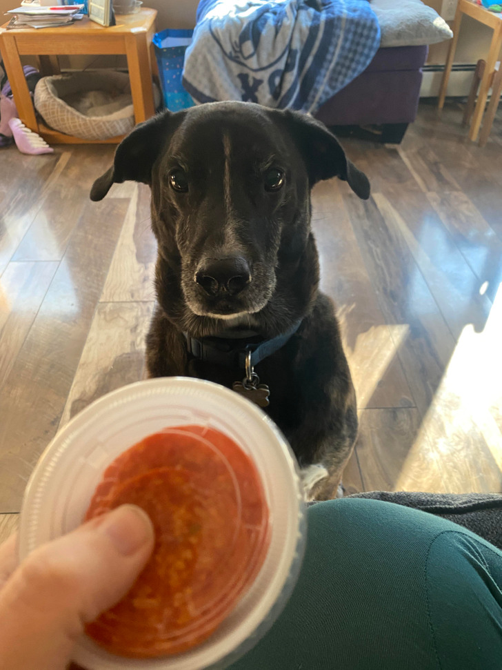 c54ec756b8be8f461737efc021