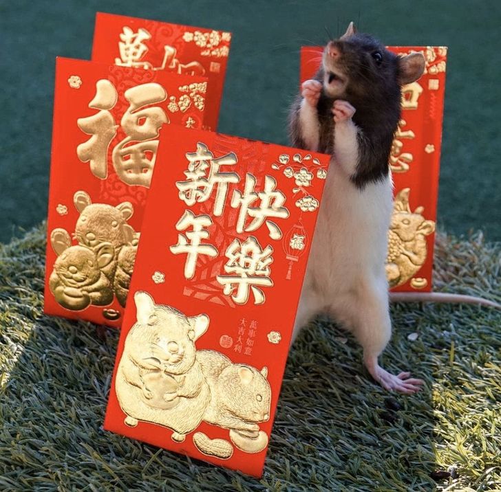 c564ea5ae3be29db45856968f5