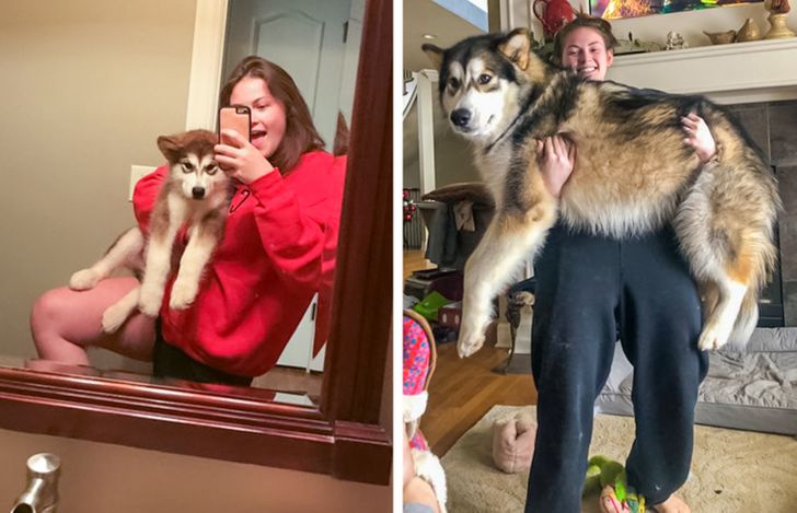 c568f852dfaa6f14817d8bbd01