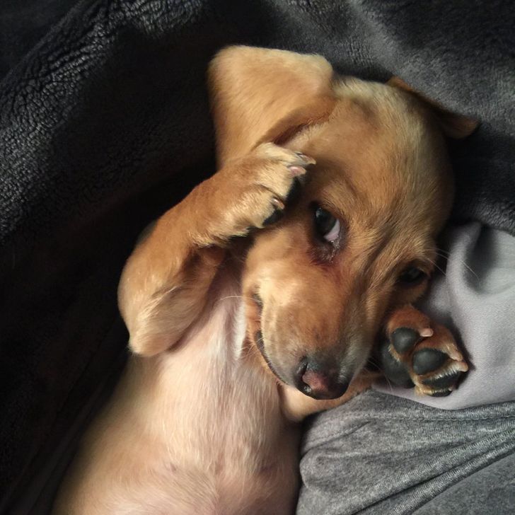 c56bd35ea9a36ae40aefcc118e