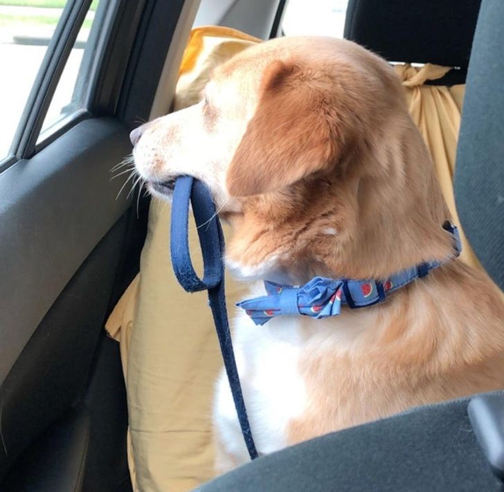 c5704c5133aa330c4aa3224f8a