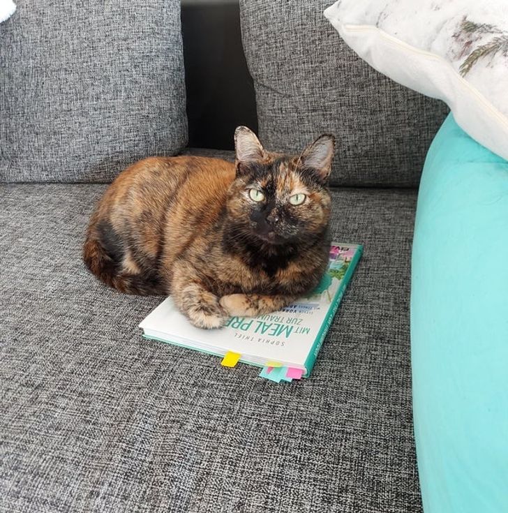 c5738a5bf98d5fbd43d32a5df8