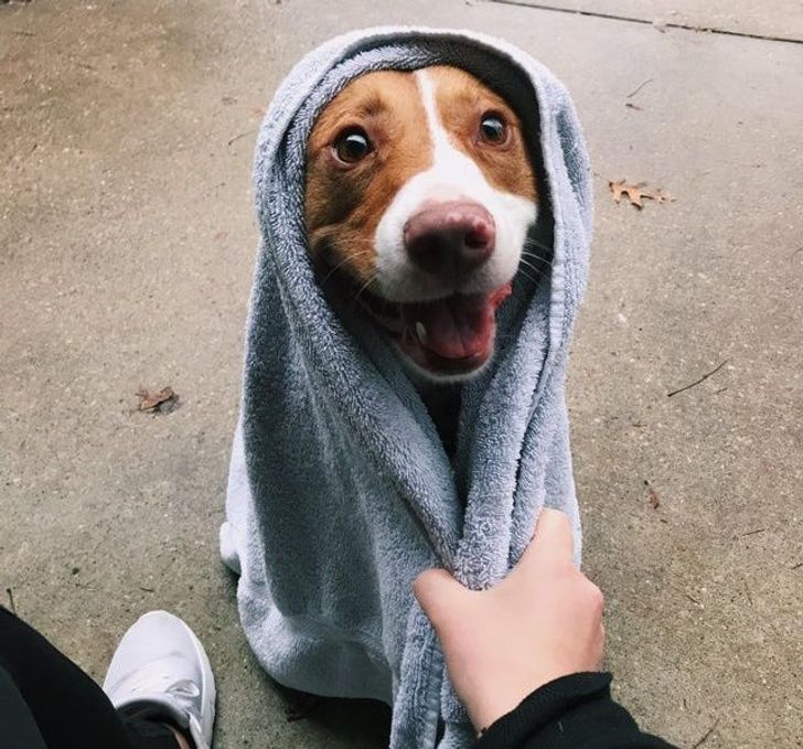 c5772d53e79d5aefcaa7e1378b