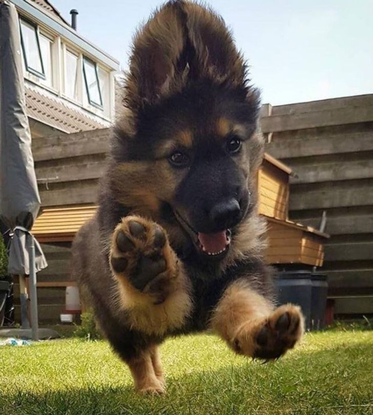 c57a7f52cfa844dc222bed4611