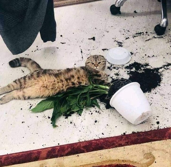 c5815c5dcd8d2e8e7b49aff7a2