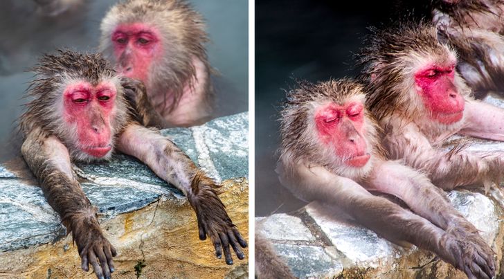 c582035a80aae4fb07bcc9ab04