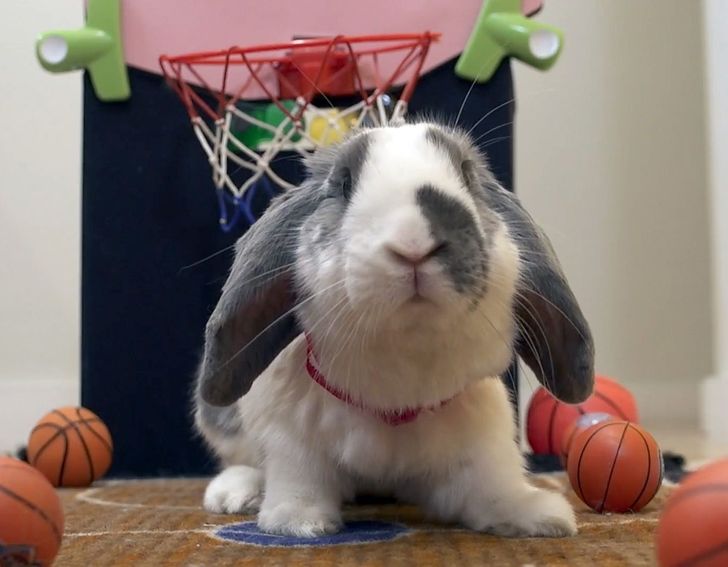 c5843b5d63b33042afa989a7b0