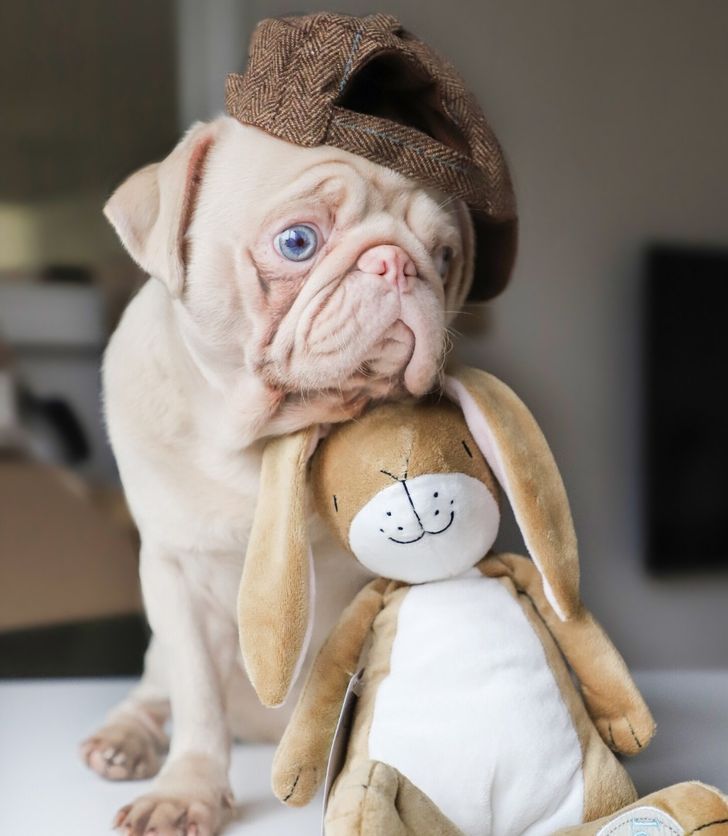 c58c3e555194a22960b8c8b607