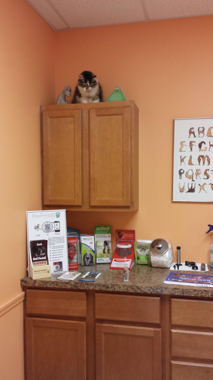 c58e375016ba0f955fab82dd54