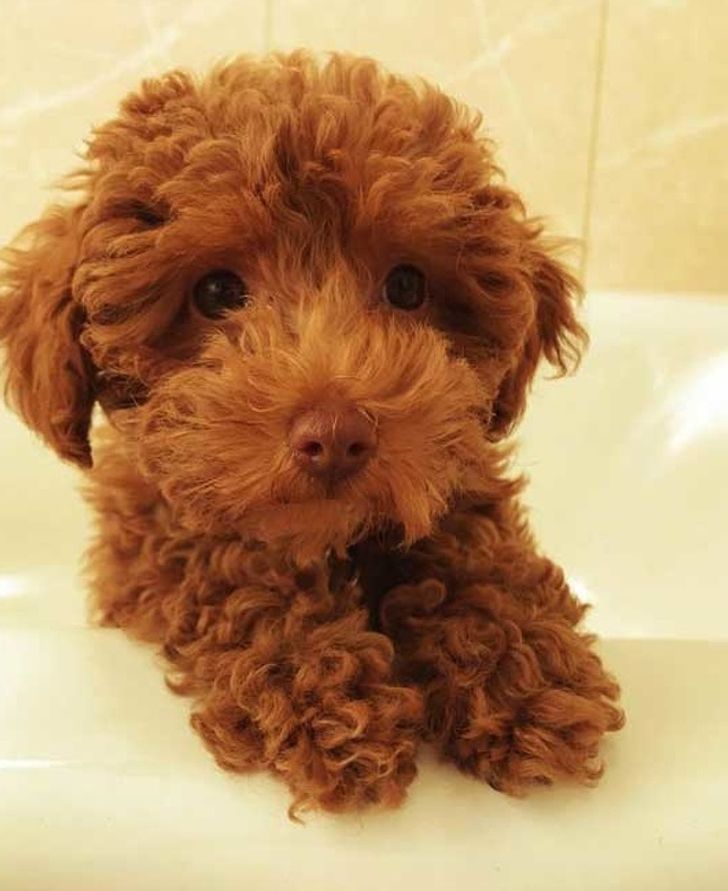 c5a80054e792f40b13366c2a2e