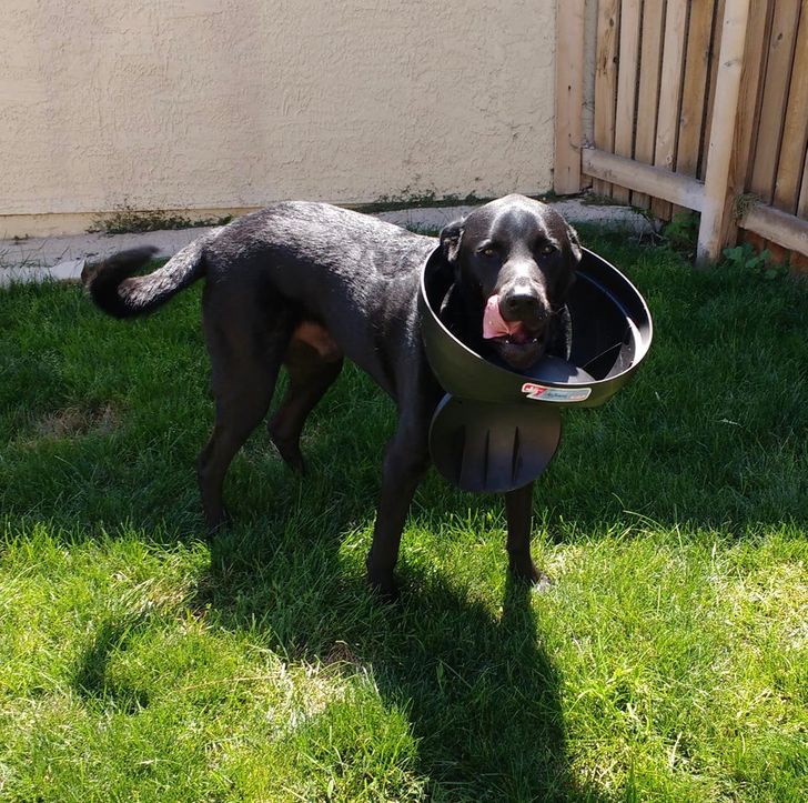 c5a8cf59b4b76ed0e2939b3673