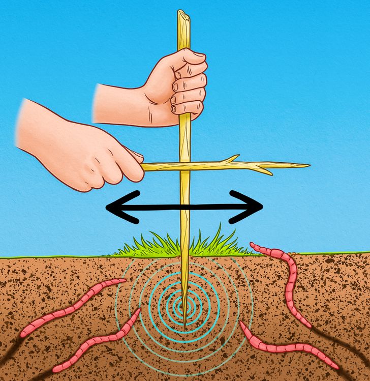 c5b0255a6fb43eef4e8c335a19