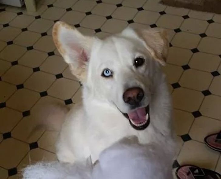 c5b5805d6788dff66bead4df7d