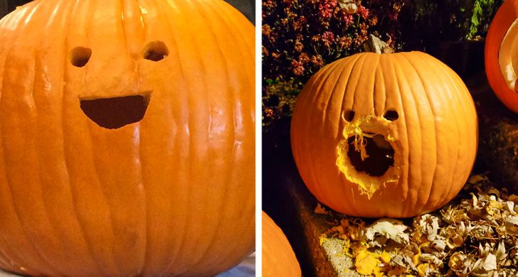 c5b8305c6390ced6b860c22d32