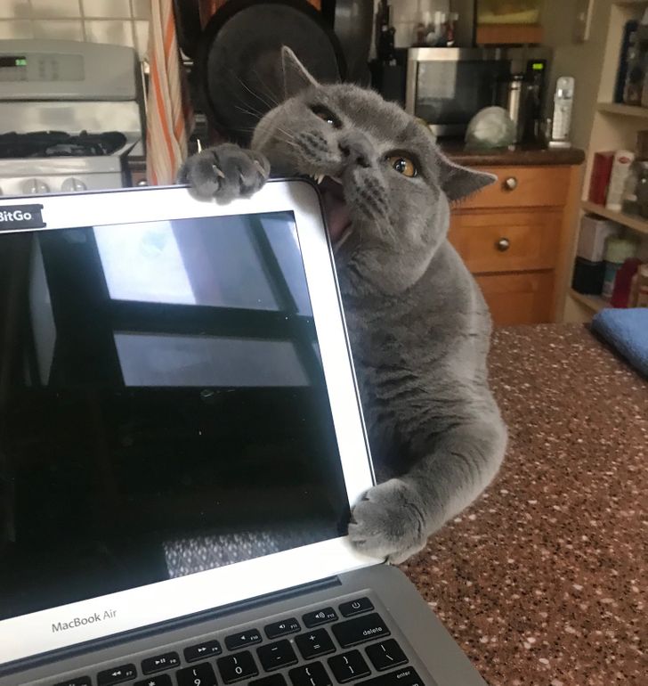 c5c4ac57aebd011becb2de9bf2