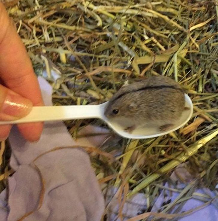 c5c5545c58a825a0e7a169b61a