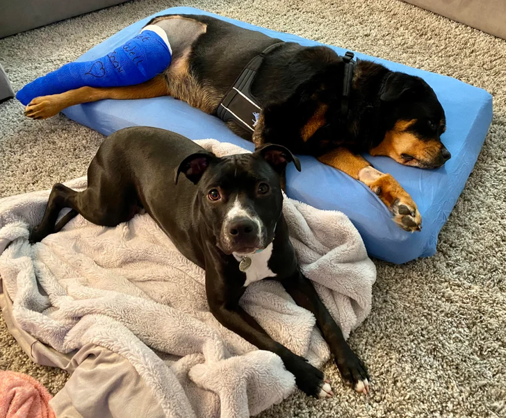 c5cd105998afff902ec23c8a88