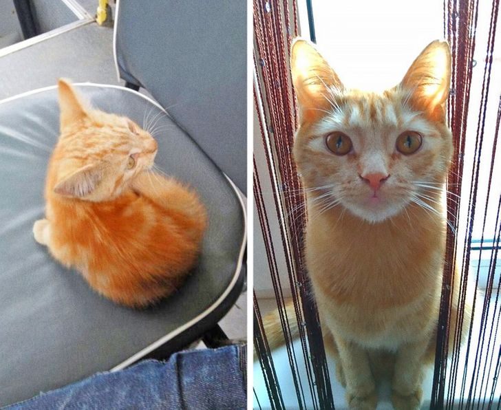 c5cf8658d083d46eba9f331d75