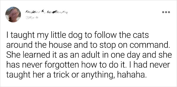 c5d92a5c328e38d76c49a7c7bc