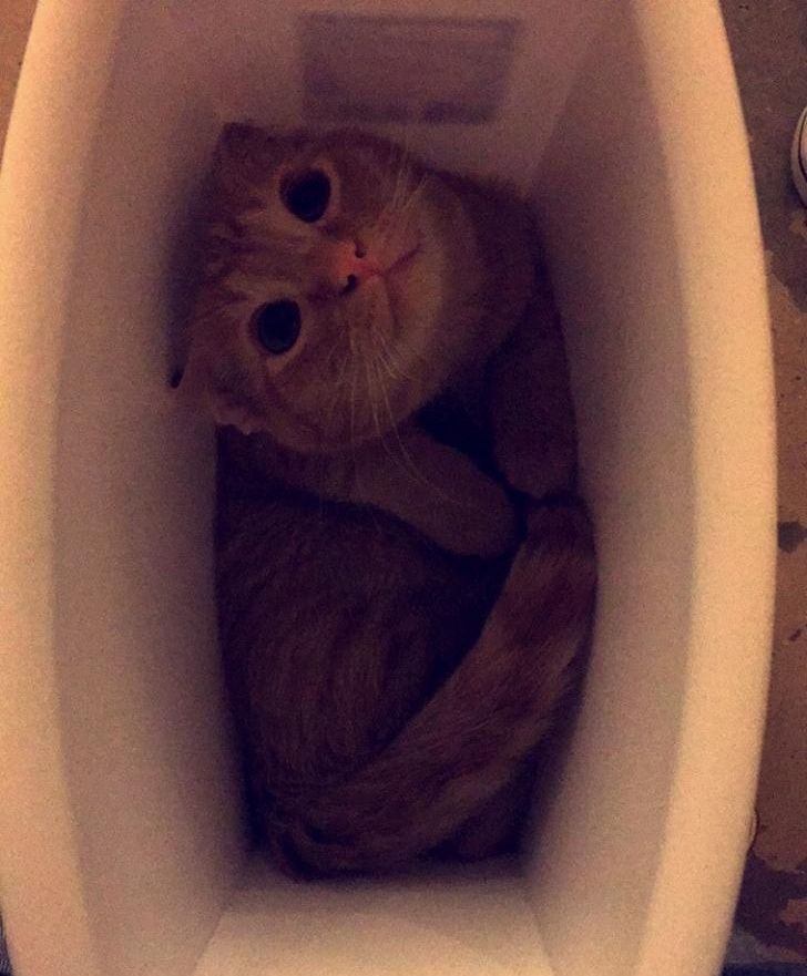 c5e3a65ac7827702e160ca3fcc