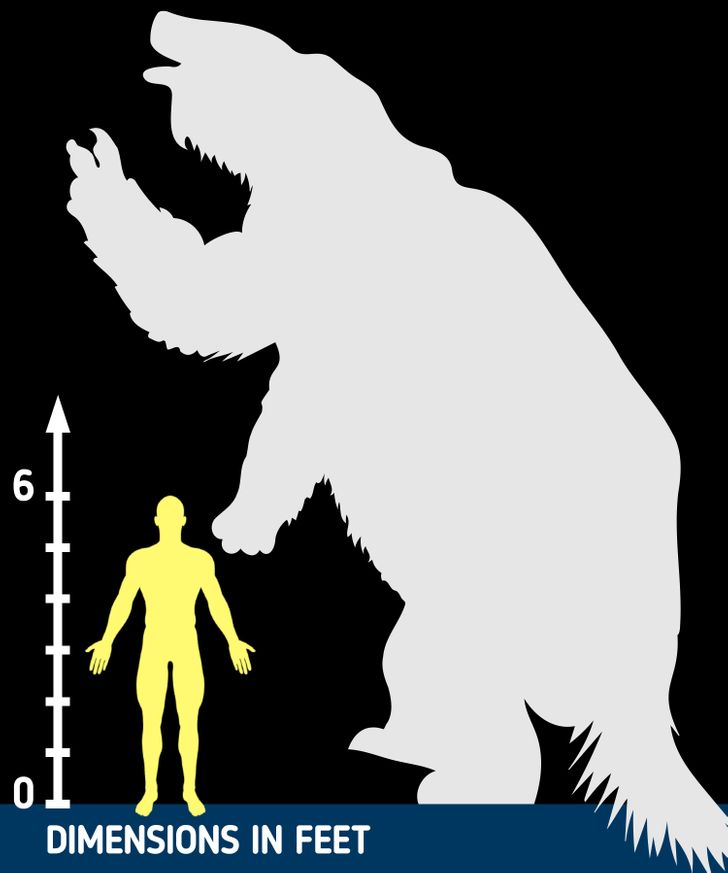 c5ef8b52a49b77958c278bfd09